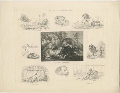 Antique Print with Nine Illustrations of Various Lions and Leopards, view 2