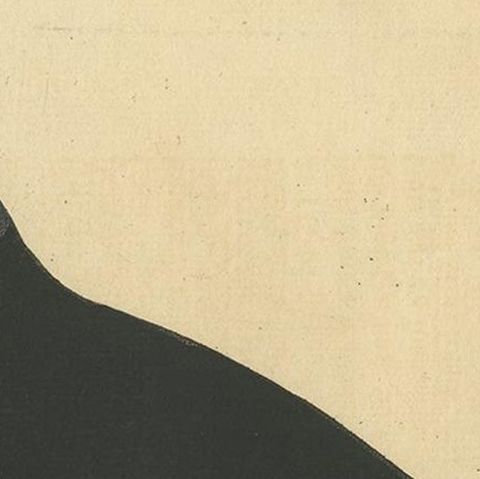 Antique Bird Print of the Western Jackdaw by Albin 'circa 1738', close-up 1