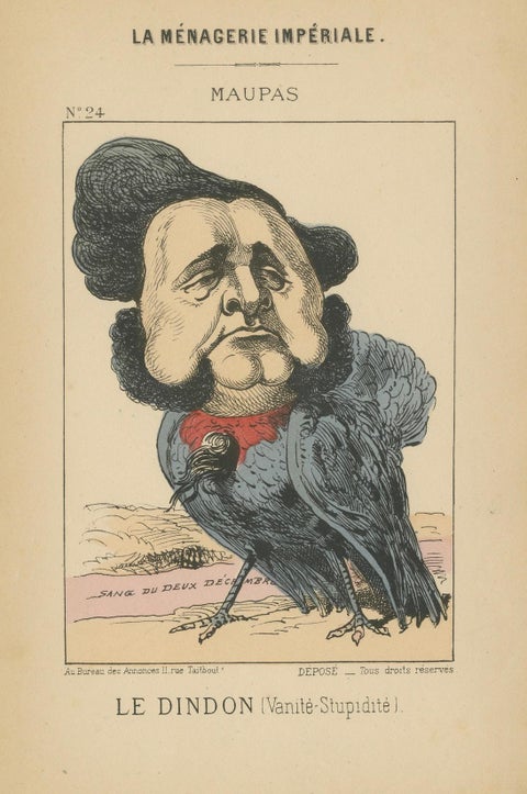 Imperial Menagerie: Maupas - The Turkey (Vanity - Stupidity), 1870, close-up 4