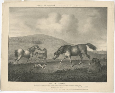 Original Antique Lithograph of a Horse Showing the Passion 'Affection', 1827, view 2