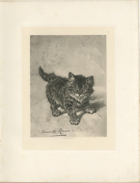 Rascal - A Playful Antique Cat Print by Henriette Ronner, 1894, view 3
