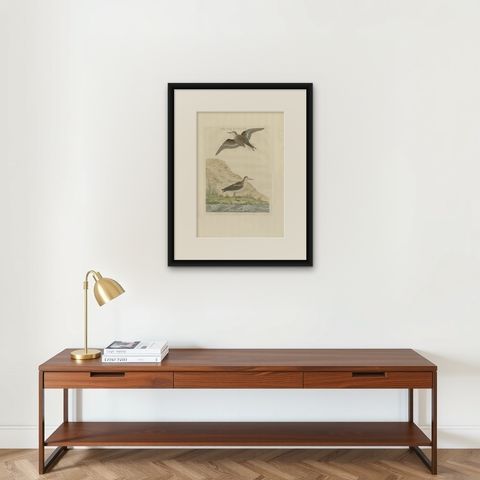 Little Stint, Antique Dutch Ornithology Print by Sepp and Nozeman, circa 1797, shown framed on a wall