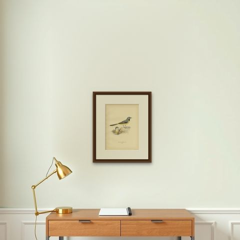 Antique Bird Print of the Grey Wagtail by Von Wright, 1927, shown framed on a wall