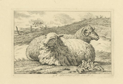 Serene Pastoral Scene with Two Resting Sheep: Etching by Anthony Oberman, 1810, close-up 5