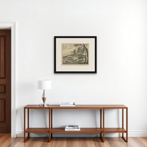 Antique Print Depicting a Cuscus, Chameleon and other Lizzards and Animals, 1726, shown framed on a wall