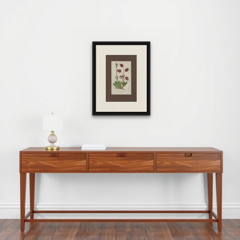Prepusa hookeriana, A Rare 19th-Century Botanical Print in Elegant Matting, shown framed on a wall