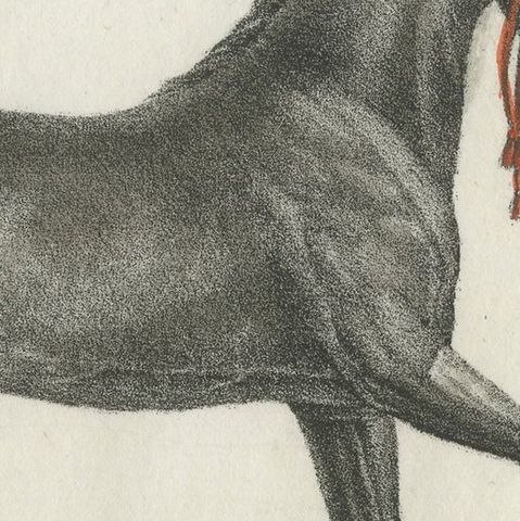 Antique Print of Persian Horse, close-up 1