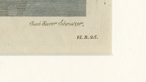 Antique Greater Rhea & Black Swan Engraving, Bertuch, 1798, close-up 5