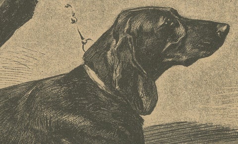 Swiss Hound Briquets, Antique Dog Print, circa 1880, French Publication, close-up 2