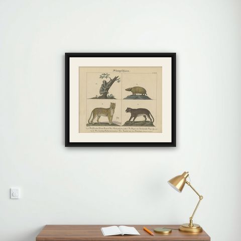 Antique Mammal Print of a Sloth, Armadillo and Leopard, 1831, shown framed on a wall