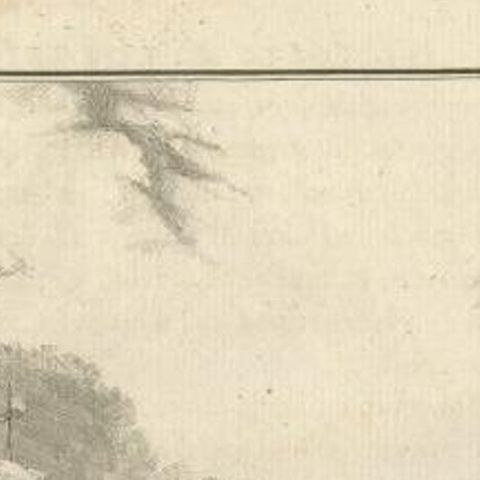 Antique Bird Print of a Common Merganser by Buffon, 1766, close-up 1