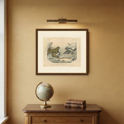 Antique Walrus and Narwhal Print, Arctic Sea Scene with Manatee, circa 1890, shown framed on a wall