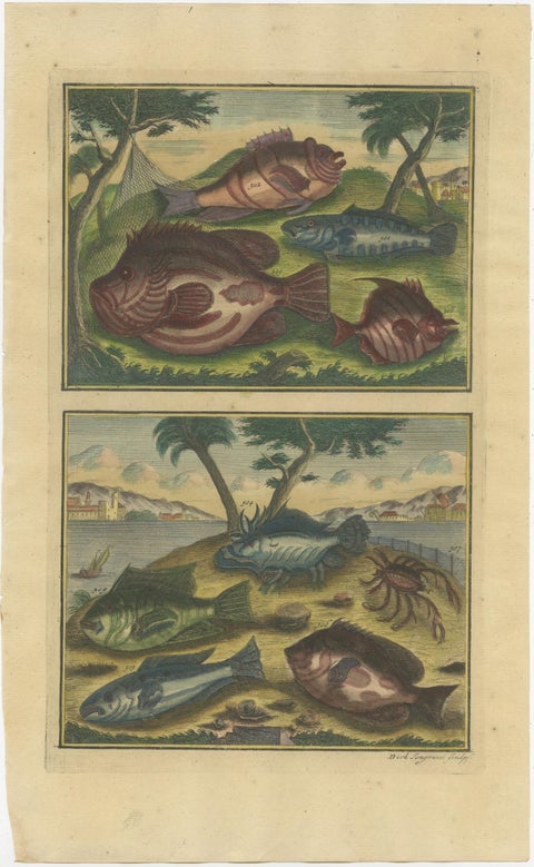 Set of 2 Colored Antique Prints of Various Fishes and Crustaceans, view 3