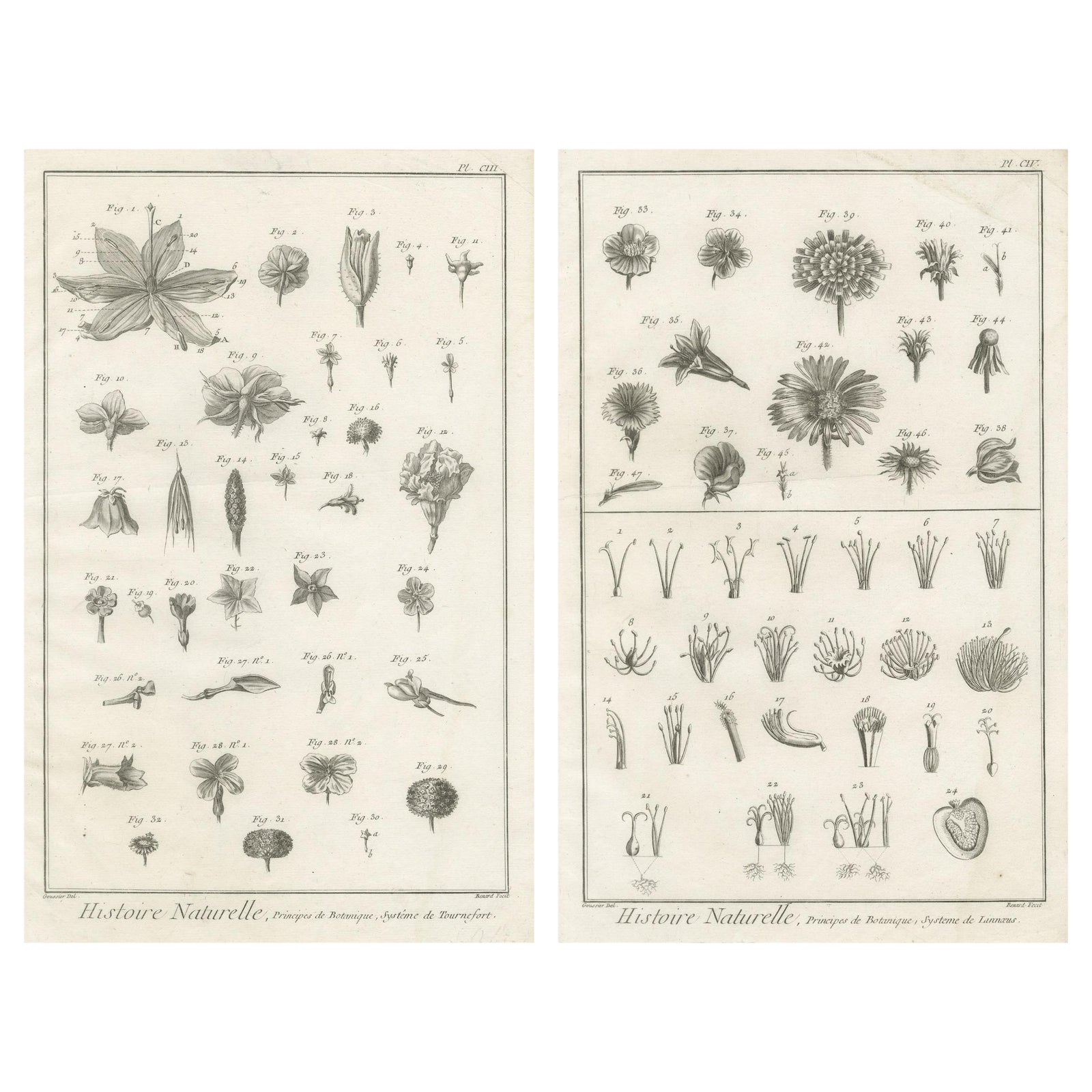 Pair of Antique Botanical Engravings, Tournefort & Linnæus Systems, ca. 1770