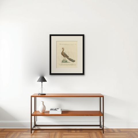 Antique Bird Print of a Peacock by Manetti, 'circa 1770', shown framed on a wall