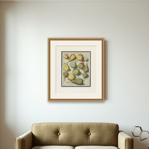 Tab I Antique Print of Various Pears by Knoop (1758), shown framed on a wall