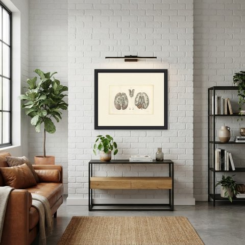 The Lateral Ventricles Opened, Antique Hirschfeld Anatomy Print, 1866, shown framed in a room
