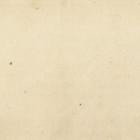 Antique Bird Print of a Turtle Dove, close-up 1