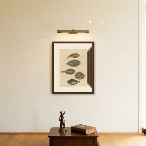 Five Soles and Flatfish, Antique Bertuch Print, circa 1815, shown framed on a wall