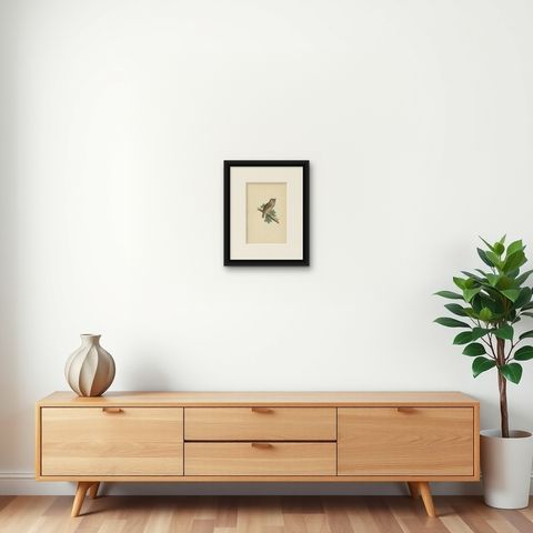 Antique Bird Print of the Eurasian Scops Owl by Morris, c.1850, shown framed on a wall
