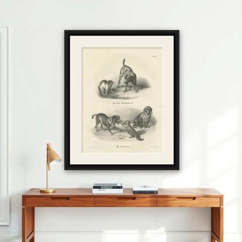 19th-Century Lithograph of Hunting Dogs and Dachshunds Interacting with Cats, shown framed on a wall
