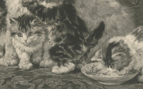 "Mother's Love" - Cats and Kittens by Henriette Ronner (1894), close-up 1