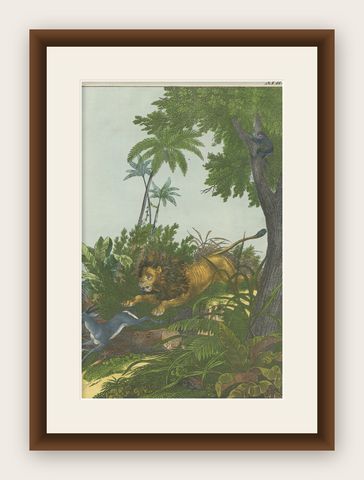 Hand Colored Antique Lithograph of Hunting Lion, shown framed