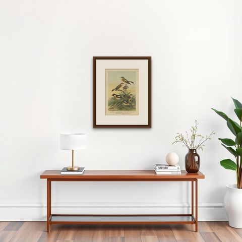 Antique Bird Print of the Whinchat by Naumann, circa 1895, shown framed on a wall