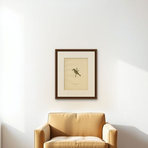 Antique Bird Print of the Reed Warbler by Von Wright, 1927, shown framed on a wall