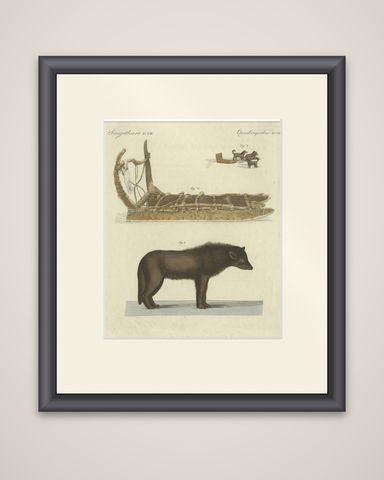 Antique Print of a Dog from Baffin Bay Greenland and a Dog Sled, ca.1800, shown framed