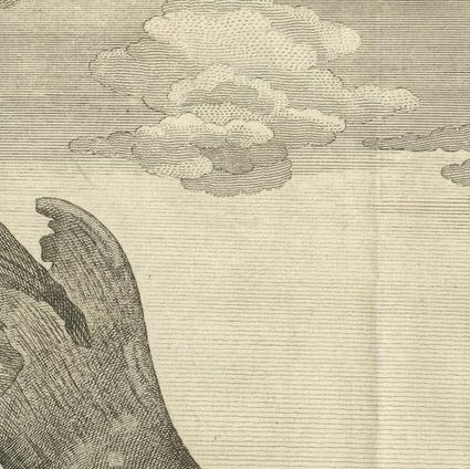 Marine Creatures in an Old Engraving: A Sea Lioness and a Sea Elephant, 1765, close-up 4