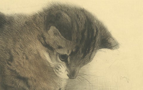 Kitten Playing with a Marble, Etching by Kurt Meyer-Eberhardt, 1977 Estate, close-up 4