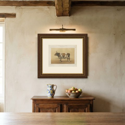 Breton Ox, French Cattle Breed, Antique Chromolithograph by Borie, 1863, shown framed on a wall