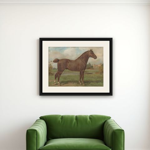 Antique Print of the Hackney Horse by O. Eerelman, 1898, shown framed on a wall