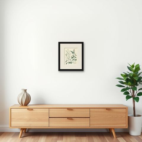 Hand-Colored Botanical Lithograph of Wild Mustard and Charlock, Calwer, 1854, shown framed on a wall