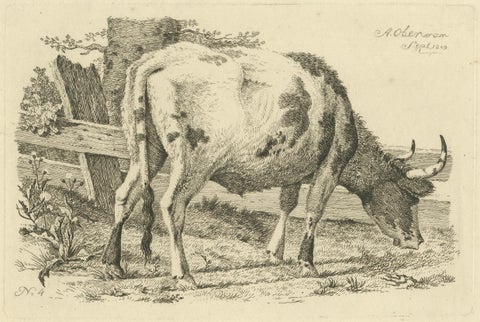 Etching of Grazing Cow by Fence: Farm Scene, Produced by A.Oberman in 1809, close-up 4