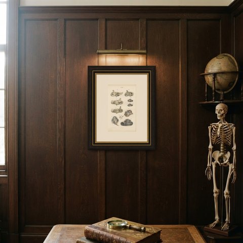 The Bony Labyrinth and Cochlea, Antique Hirschfeld Anatomy Print, 1866, shown framed on a wall