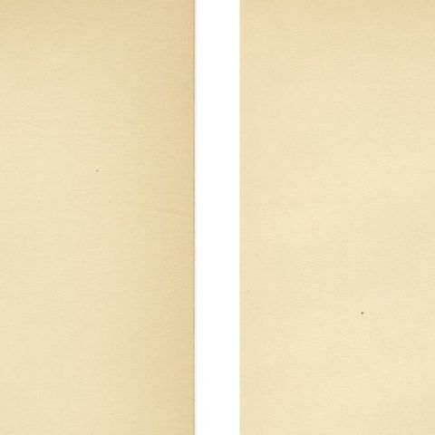 Antique Steller’s Eider Duck Lithographs, Male and Female Pair, Sweden 1929, close-up 6