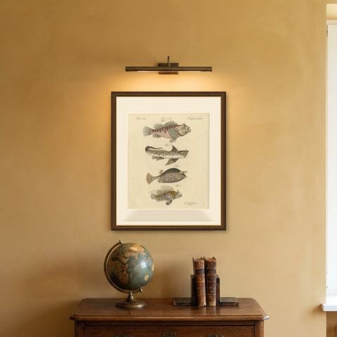 Lionfish, Chimaera, Scorpionfish and Boxfish, Antique Bertuch Print, circa 1805, shown framed on a wall