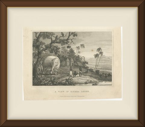 View in Sierra Leone, West Africa, Elephant, Antique Engraving, circa 1825, shown framed