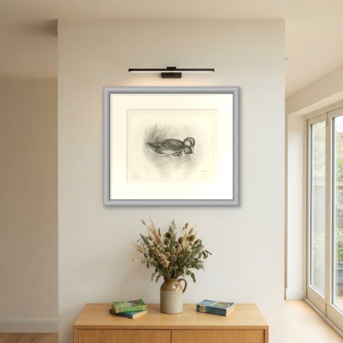 Wild Duck (Female) with Duckling, Plate CLXX after Lilian Medland, c. 1909, shown framed on a wall