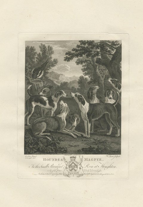Hounds & Magpye Antique Engraving, English Sporting Art, 1775, view 2