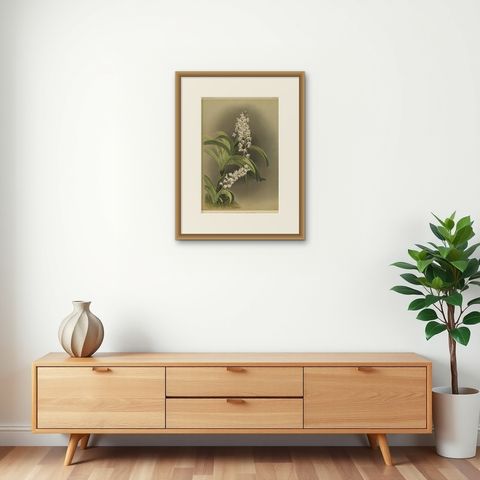 Antique Botanical Print, Lavender-White Orchid Saccolabium coeleste, ca.1888, shown framed on a wall