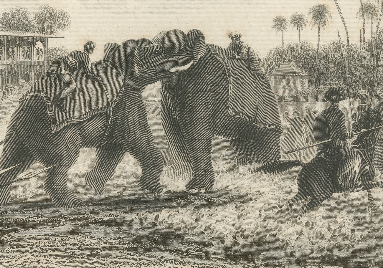 Elephant Fight in India, Spearmen and Horsemen, Antique Engraving, 1859, view 4