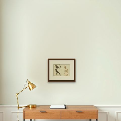 An 18th Century Study of Flycatchers and the Indian Cobra, 1780, shown framed on a wall