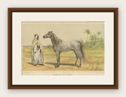 Original Antique Chromolithograph of a Barb or Berber Horse, circa 1890, shown framed
