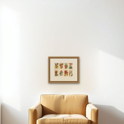 Original Vintage Botanical Illustrations from Revue Horticole, circa 1855, shown framed on a wall