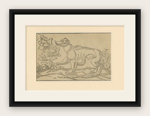 Rare 1592 Woodcut of Exotic Animal from Sebastian Münster's "Cosmographia", shown framed