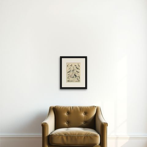 Water Birds Print: Swan, Pelican, Cormorant, Ducks, Antique 1867, shown framed on a wall