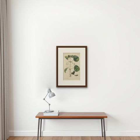 Bold Leaves and Butterfly, Hand-Colored Botanical Print from Meerburgh, 1775, shown framed on a wall